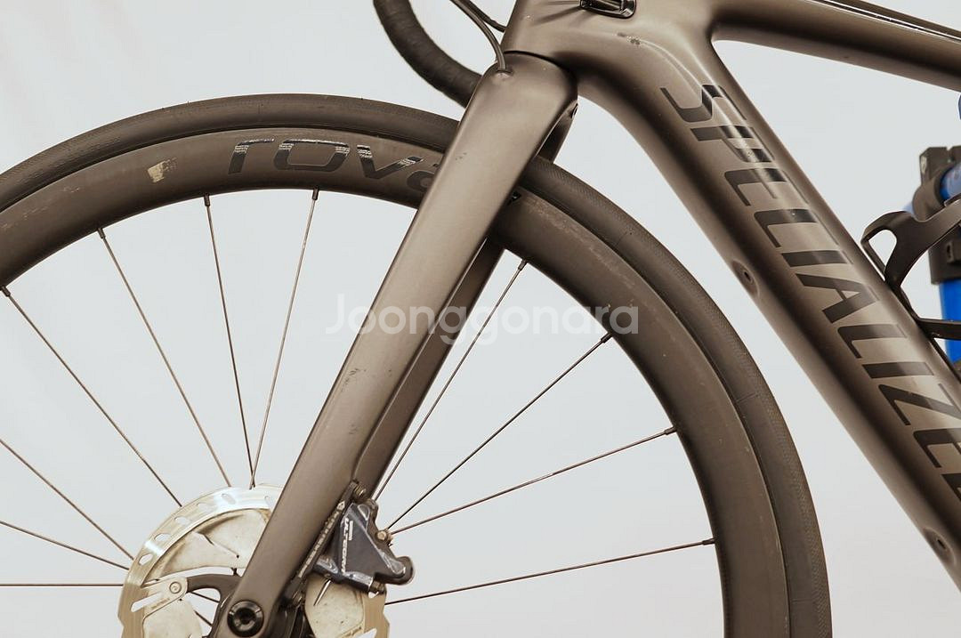 SPECIALIZED 터보 크리오 익스퍼트--2