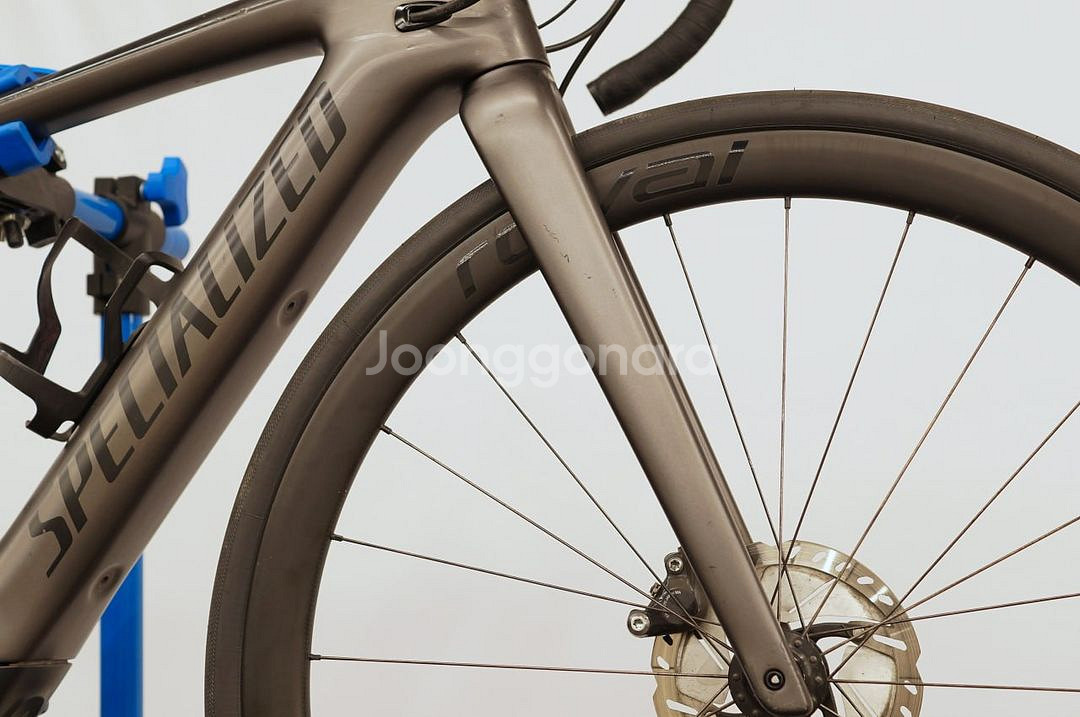 SPECIALIZED 터보 크리오 익스퍼트--8