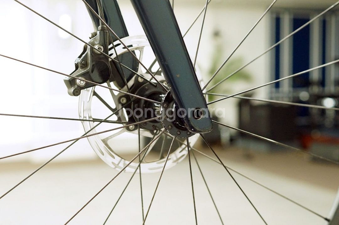 SPECIALIZED 터보 크리오 익스퍼트--8