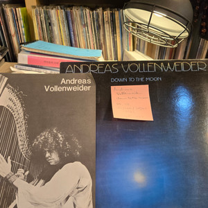 Andreas Vollenweider.down to t