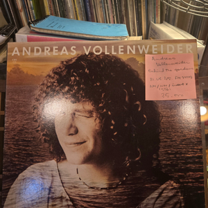 Andreas Vollenweider.behind th