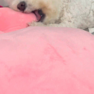 이솔빈님 지갑 결제창 입니다