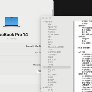 M1 Pro 14인치 32gb 1t