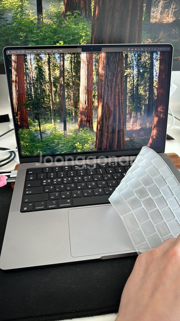 M1 Pro 14인치 32gb 1t--1