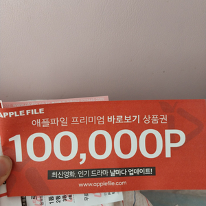 애플파일 100,000P