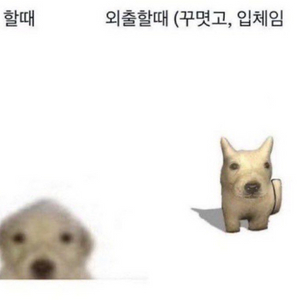 비스마일키드