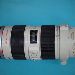 EF 70-200mm f/2.8 IS USM 구아빠백통