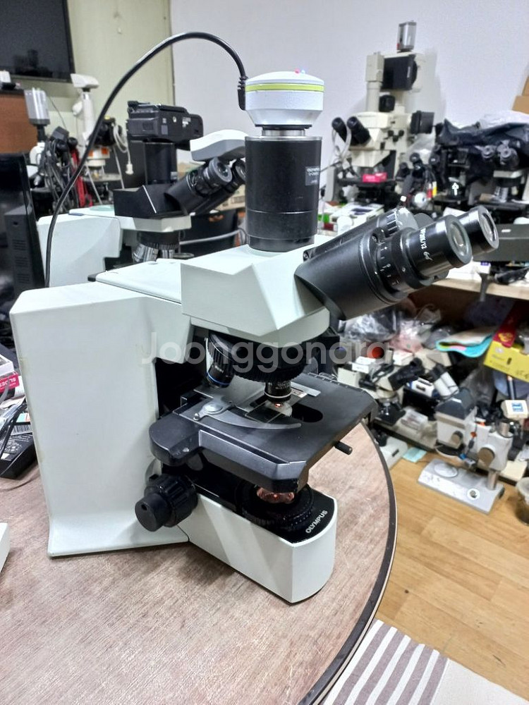 올림프스 BX51 3안CCD현미경 대여렌탈--1