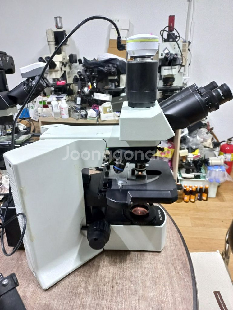 올림프스 BX51 3안CCD현미경 대여렌탈--3