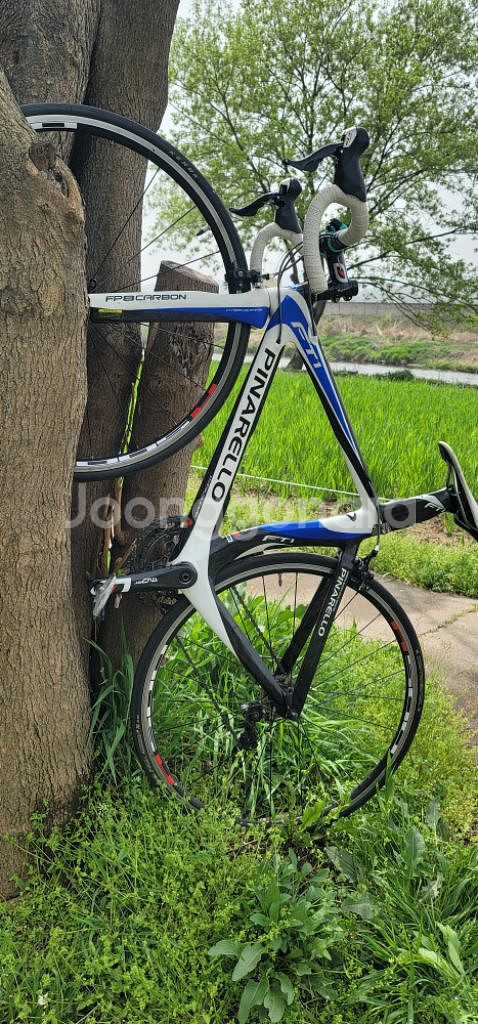 피나렐로 급처--6