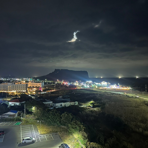 제주도 성산골든튤립 호텔 (오션뷰 지정 가능 조식불포함