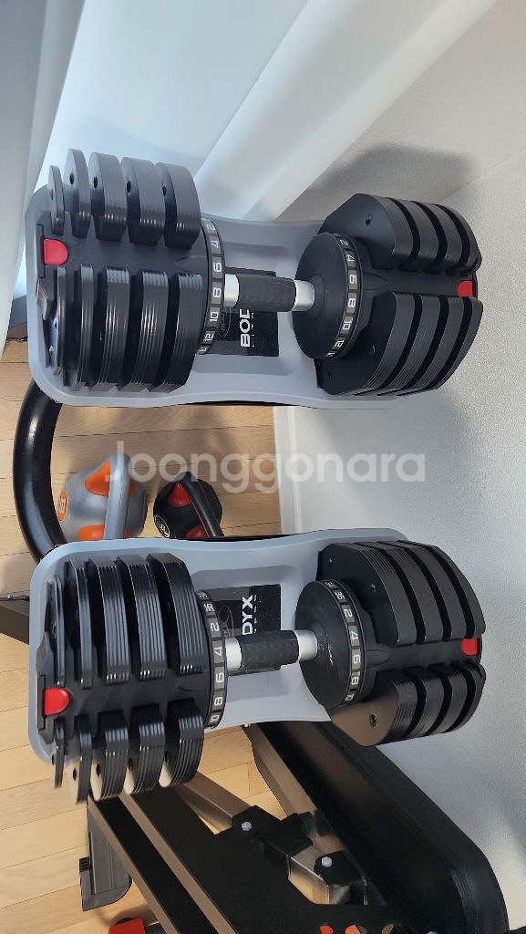바디엑스 무게조절덤밸 36kg , 각도조절 벤치 판매--1