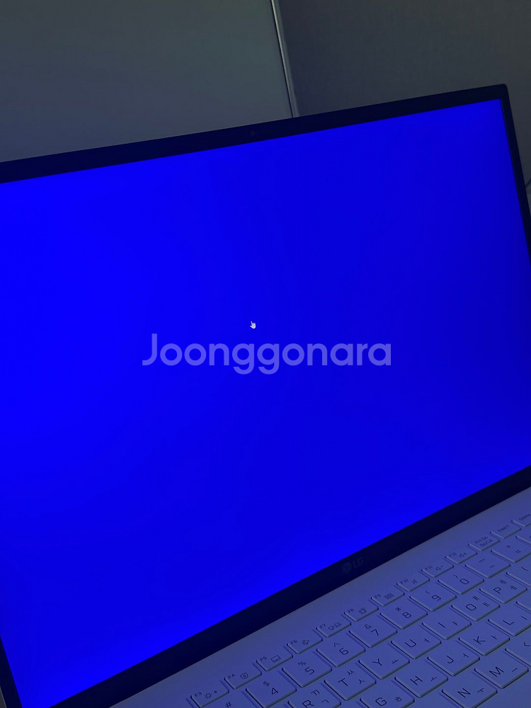 lg 그램 16인치 i5--9