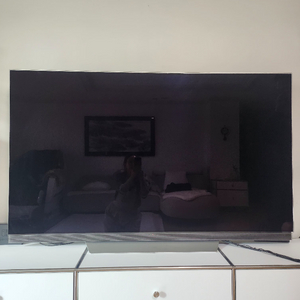 LG OLED 65인치 TV