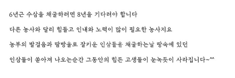 퐁기인삼 6년근 수삼을 특별할인판매합니다--3