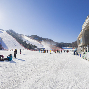 지산시즌권 삽니다.