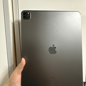 iPad Pro 12.9인치 4세대 256기가 (글 필