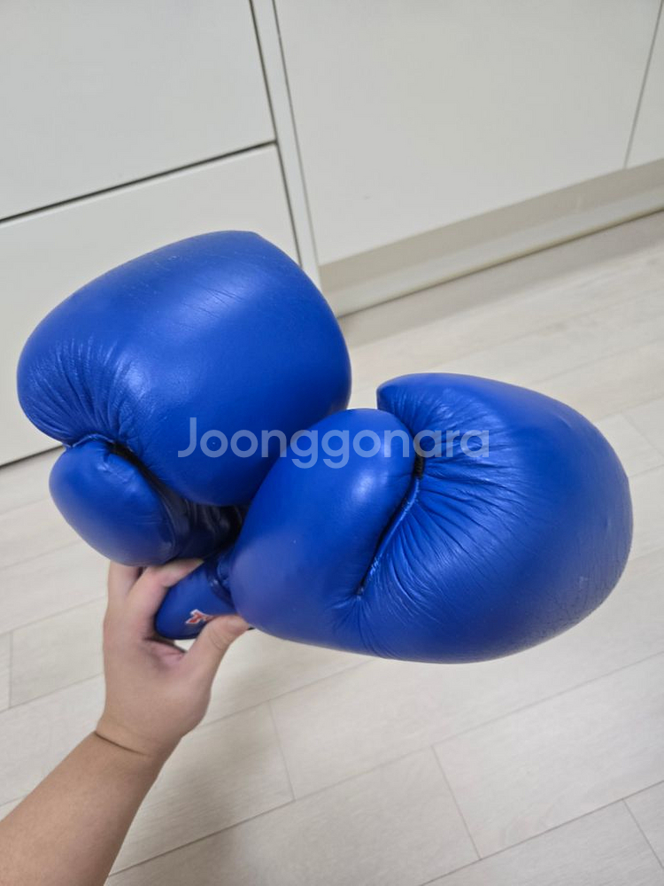 탑텐 아이바 복싱 글러브--2