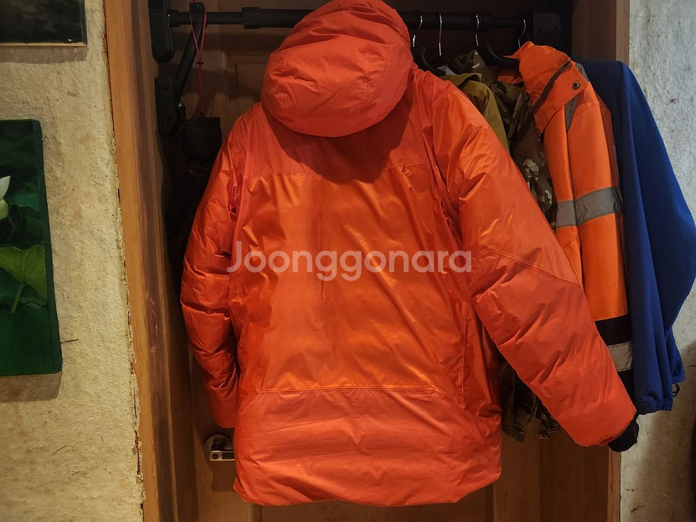 아크테릭스알파파카--1