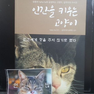인간을 키우는 고양이