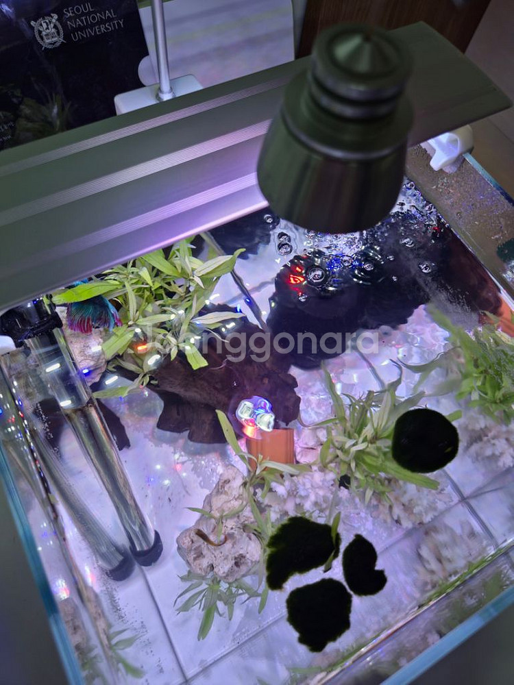 30하이큐브 어항 일괄세트--2
