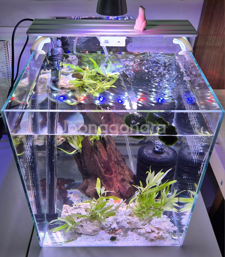 30하이큐브 어항 일괄세트--0