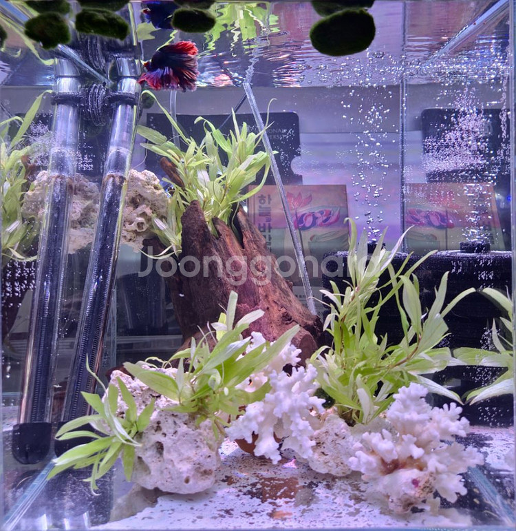 30하이큐브 어항 일괄세트--3