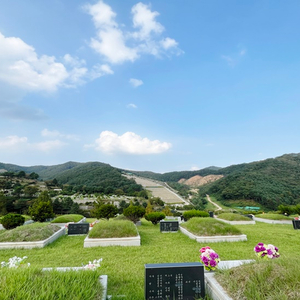 서울근교 공원묘 미사용 묘역 양도합니다!