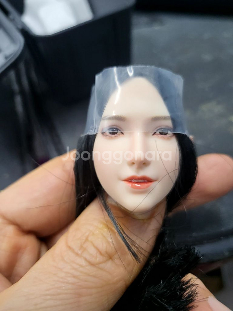 1/6피규어 헤드 슈퍼덕 피첸바디용 헤드 일괄팝니다--3