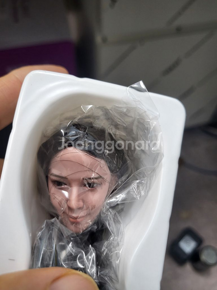 1/6피규어 헤드 슈퍼덕 피첸바디용 헤드 일괄팝니다--6