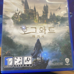 ps4 호그와트 레거시