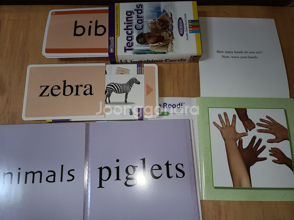 your baby can read--1