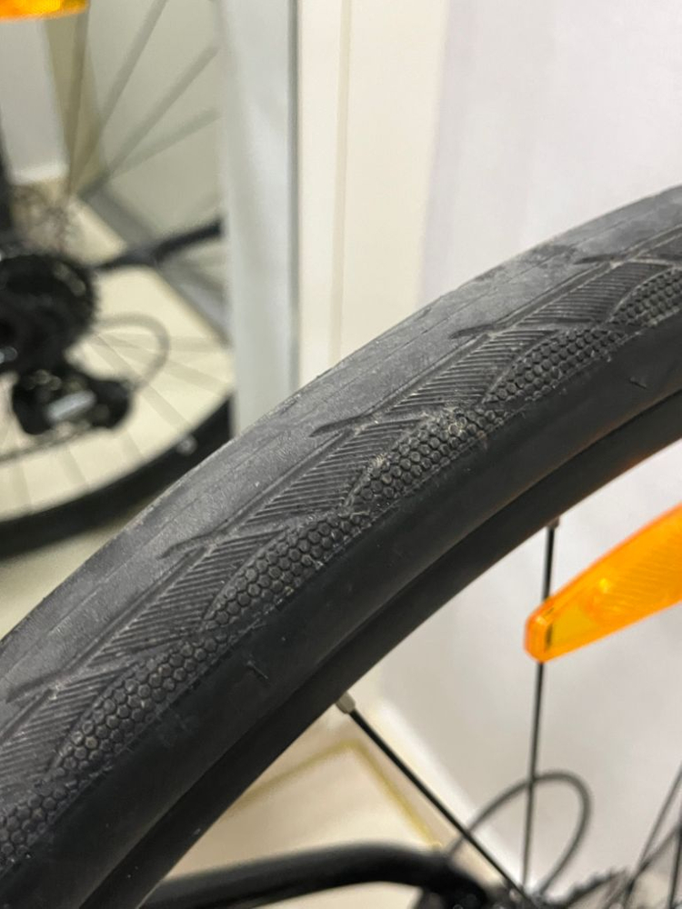 24년 자이언트 에스케이프2 S 이미지