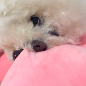 이솔빈님 결제창입니다