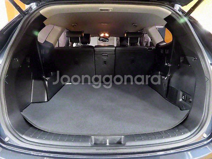 @15년식 맥스크루즈 디젤 R2.2 2WD 익스클루시--4