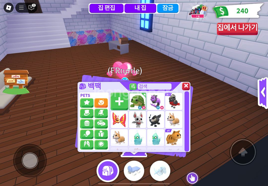 입양하세요 날타 거북이, 염소자리, 아파트 팔아요--1