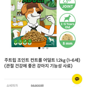 강아지 사료