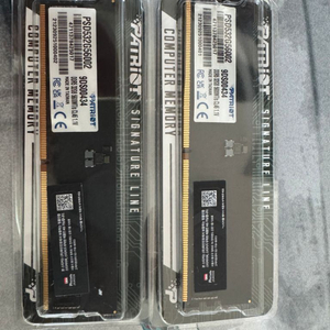 패트리어트 ddr5 5600 32gb 2장