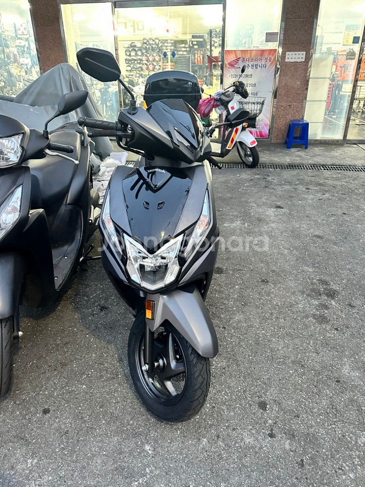 2025 디오125>>pcx 대차원합니다--1