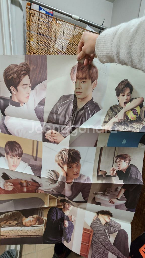 엑소 exo 앨범 포카 공식굿즈 공굿 정리 판매--8