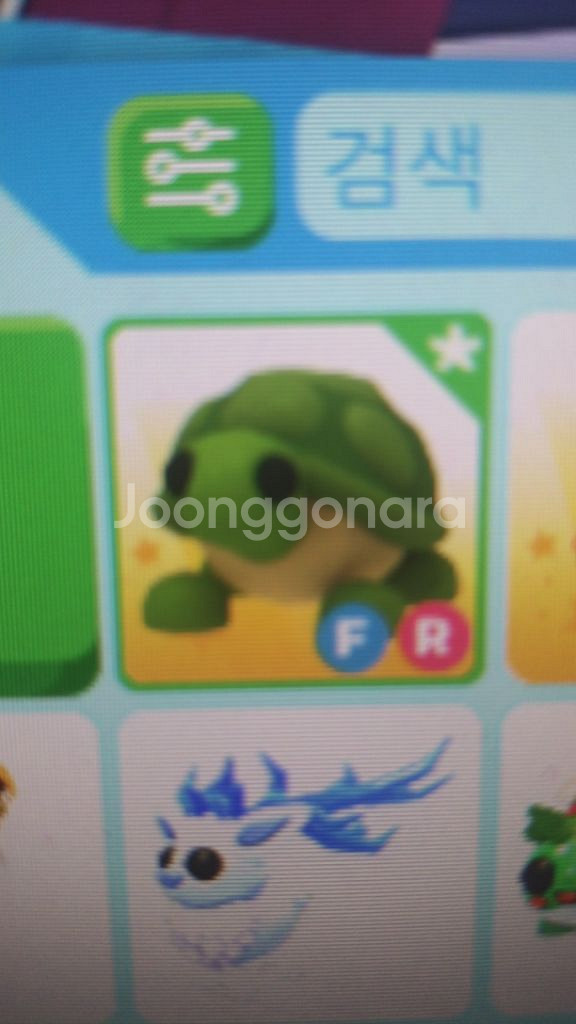 입양하세요 펫 거북이 팔아요--0
