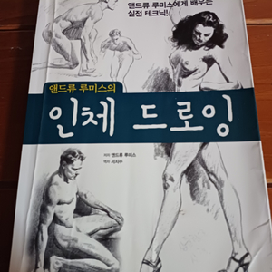 앤드류 루미스의 인체 드로잉 기초드로잉 드로잉입문