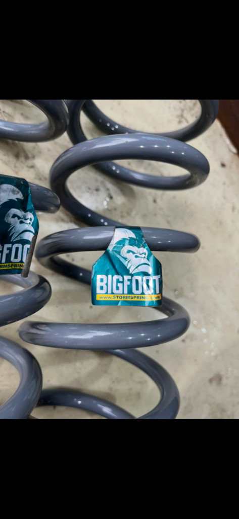 레이 빅풋 업스프링--1