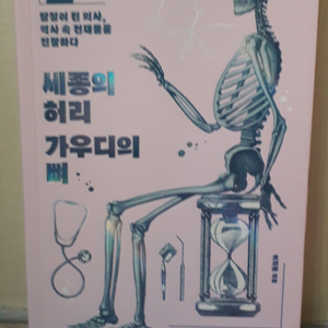 세종의 허리 가우디의 뼈