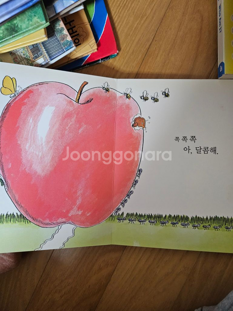 사과가 쿵책--1