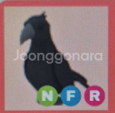 입양하세요 기린이나 까마귀 구합니다--1