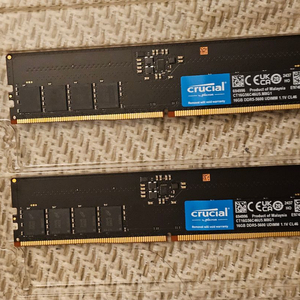 마이크론 DDR5 램 32GB (16x2) RAM