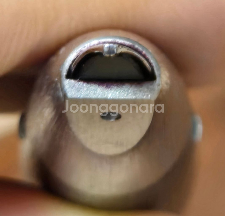 라미2000 만년필, 워터맨 까렌--3