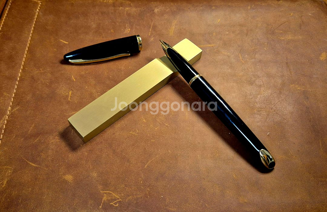 라미2000 만년필, 워터맨 까렌--1