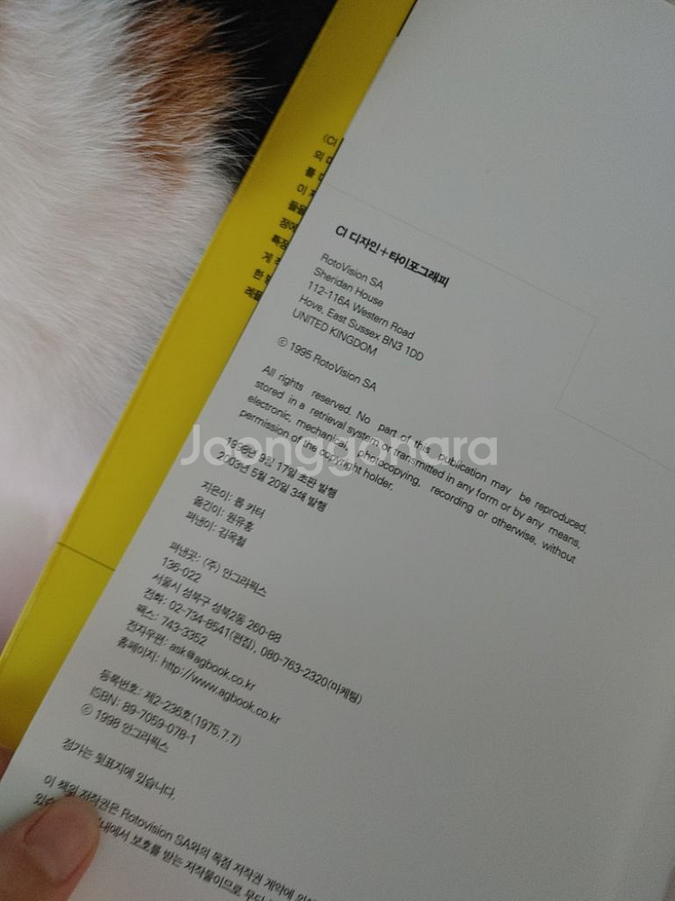 CI디자인 + 타이포그래피 그래픽 일반 도서 책--1